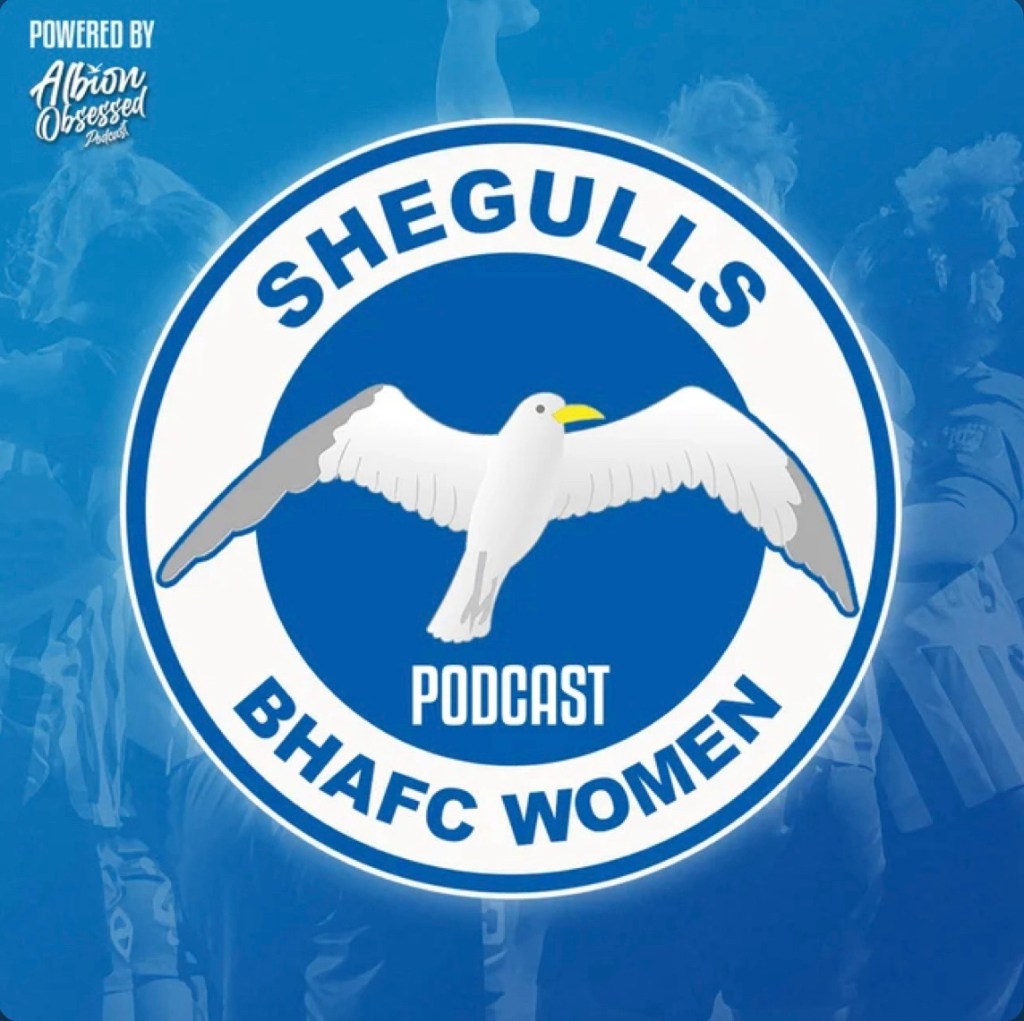SheGulls podcast appearance